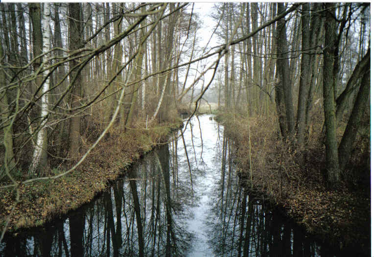 Klicken zum schliessen