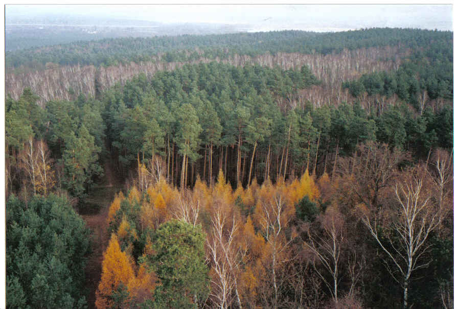 Klicken zum schliessen